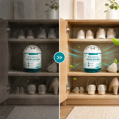 Magic Bead Box for Odor and Dust Removal